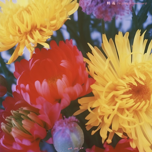 波奇酱被c到喷水涩图
